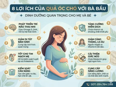 Sản phẩm Vi sao ba bau nen an hat oc cho 450x338 — Công Ty TNHH XNK HTFood Việt Nam — MST 0315298284
