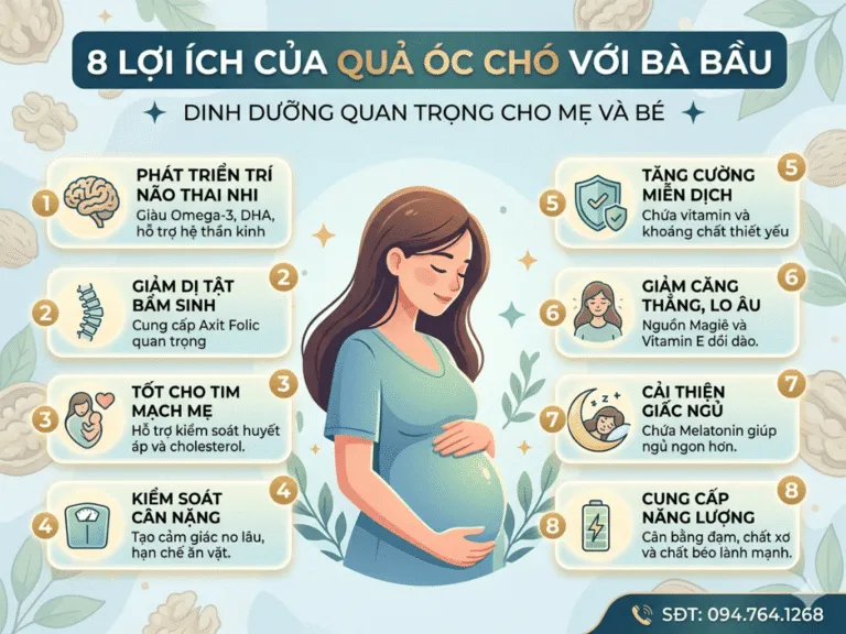 Sản phẩm Vi sao ba bau nen an hat oc cho 768x576 — Công Ty TNHH XNK HTFood Việt Nam — MST 0315298284
