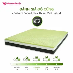 Sản phẩm hybrid hinh 07 800x800 1 300x300 — Nệm Thuần Việt - Công Ty Cổ Phần Nệm Thuần Việt — MST 0315308944