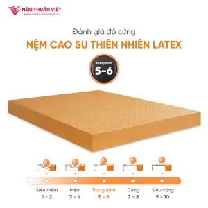 Sản phẩm latex 5 300x300 — Nệm Thuần Việt - Công Ty Cổ Phần Nệm Thuần Việt — MST 0315308944