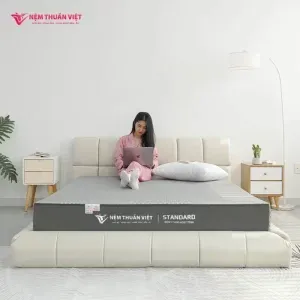 Sản phẩm nnem foam hoat tinh thuan viet standard 8 standard 800 300x300 — Nệm Thuần Việt - Công Ty Cổ Phần Nệm Thuần Việt — MST 0315308944