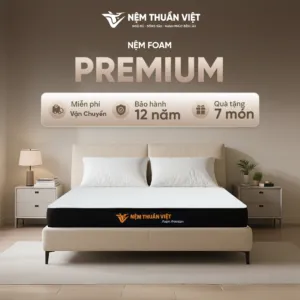 Sản phẩm 1 2 1 300x300 — Nệm Thuần Việt - Công Ty Cổ Phần Nệm Thuần Việt — MST 0315308944