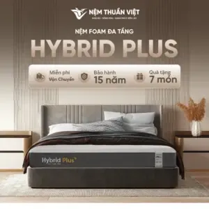 Sản phẩm HYBRID PLUS 1 300x300 — Nệm Thuần Việt - Công Ty Cổ Phần Nệm Thuần Việt — MST 0315308944