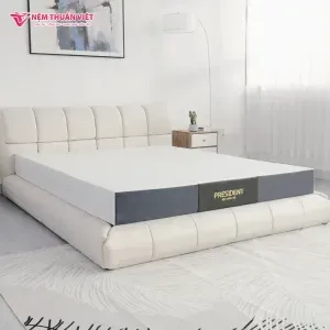 Sản phẩm president 8 300x300 — Nệm Thuần Việt - Công Ty Cổ Phần Nệm Thuần Việt — MST 0315308944