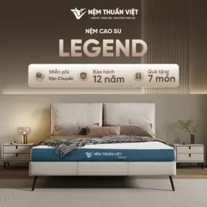 Sản phẩm LEGEND 1 300x300 — Nệm Thuần Việt - Công Ty Cổ Phần Nệm Thuần Việt — MST 0315308944