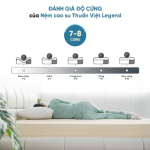 Sản phẩm Legend 300x300 — Nệm Thuần Việt - Công Ty Cổ Phần Nệm Thuần Việt — MST 0315308944