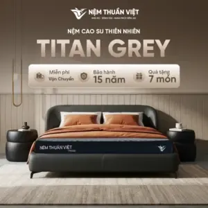 Sản phẩm TINTAN GREY 1 300x300 — Nệm Thuần Việt - Công Ty Cổ Phần Nệm Thuần Việt — MST 0315308944