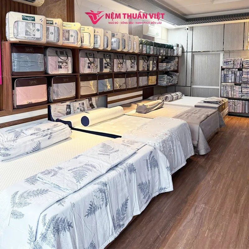 Sản phẩm hinh anh showrooom2 — Nệm Thuần Việt - Công Ty Cổ Phần Nệm Thuần Việt — MST 0315308944