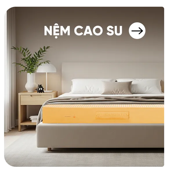 Sản phẩm ico nem cao su — Nệm Thuần Việt - Công Ty Cổ Phần Nệm Thuần Việt — MST 0315308944