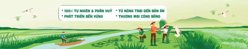 Sản phẩm 20230519105230_29_1684468350.8255 — Ống Hút Cỏ Bàng GreenJoy - Công Ty TNHH GreenJoy — MST 0315318999