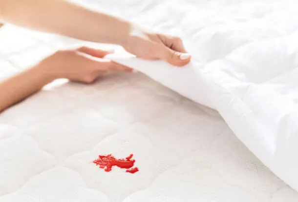 Sản phẩm cach xu ly nem dinh mau 610x414 — Công Ty TNHH Vệ Sinh Công Nghiệp Nhà Việt — MST 0315322882