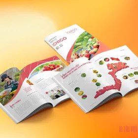 Sản phẩm catalogue6 7182 — In Tân Phú - Công Ty TNHH Sản Xuất In ấn Và Bao Bì Tân Phú — MST 0315335345