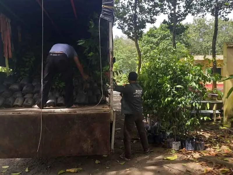 Sản phẩm cay giong lam nghiep — Công Ty CP Sản Xuất Và Thương Mại Đồng Thành Công — MST 0315350230