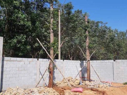 Sản phẩm cay sao den cong trinh 533x400 — Công Ty CP Sản Xuất Và Thương Mại Đồng Thành Công — MST 0315350230