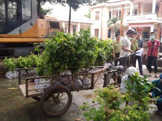 Sản phẩm goi thau cung cap lam nghiep huyen bu dop 2022 533x400 — Công Ty CP Sản Xuất Và Thương Mại Đồng Thành Công — MST 0315350230