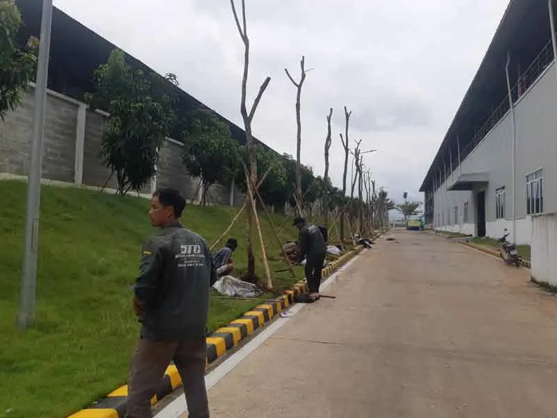 Sản phẩm thi cong du an cay xanh jason — Công Ty CP Sản Xuất Và Thương Mại Đồng Thành Công — MST 0315350230