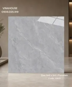 Sản phẩm gach lat nen 1m2 x 1m2 An Do 12801 247x296 — Gạch Men Vina House - Công Ty TNHH Vật Liệu Xây Dựng Và Trang Trí Nội Thất Vina
House — MST 0315351900