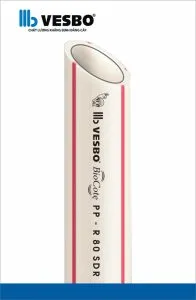 Sản phẩm ong nuoc nong ppr vesbo 196x300 — Công Ty TNHH Thương Mại Vật Liệu Xây Dựng Sinh Tài — MST 0315385184