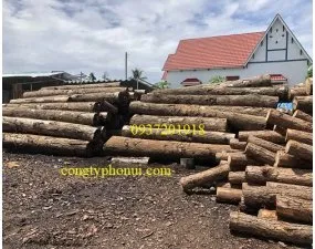 Sản phẩm go thong mi 1123 — Công Ty TNHH Phố Núi — MST 0315385191