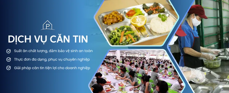 Sản phẩm 2505509182 — Công Ty TNHH Đầu Tư Và Thương Mại Bất Động Sản Nam Hưng — MST 0315385917