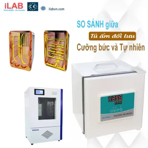 Sản phẩm Hinh 900X900 Hinh bai viet 300x300 — Công Ty TNHH ILAB — MST 0315389220
