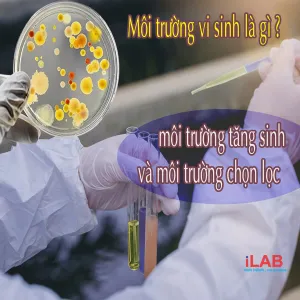 Sản phẩm Hinh 900X900 Hinh bai viet 1 300x300 — Công Ty TNHH ILAB — MST 0315389220