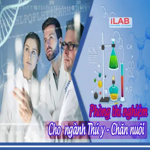 Sản phẩm Hinh 900X900 Hinh bai viet 300x300 — Công Ty TNHH ILAB — MST 0315389220