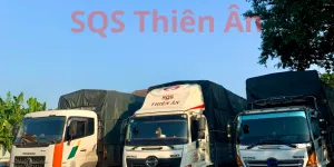 Sản phẩm sqs 18 q3ocsf0o6l0f0lt6upgi9y6a44y1eb958nckw6sa8s — Công Ty TNHH Vận Tải SQS Thiên Ân — MST 0315394453