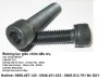 Sản phẩm bulong luc giac chim dau tru din 912_100x100 — Công Ty TNHH SX TM DV XNK Hải Âu — MST 0315395993