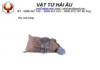 Sản phẩm day xich trang_200x200 — Công Ty TNHH SX TM DV XNK Hải Âu — MST 0315395993