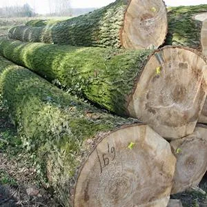Sản phẩm thumb_1555053812_3 — Công Ty TNHH Lami Timber — MST 0315404870