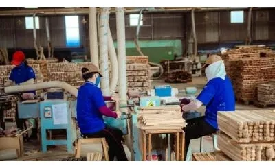 Sản phẩm thumb_1555320622_tin tuc 3 — Công Ty TNHH Lami Timber — MST 0315404870