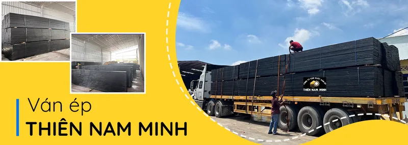 Sản phẩm 1 77 hinh — Công Ty TNHH Sản Xuất Thương Mại Ván ép Thiện Nam Minh — MST 0315405031