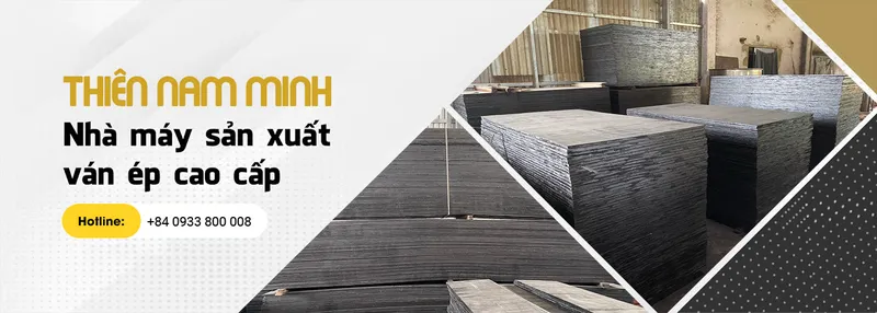 Sản phẩm 2 55 hinh — Công Ty TNHH Sản Xuất Thương Mại Ván ép Thiện Nam Minh — MST 0315405031