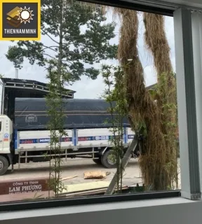 Sản phẩm van ep bao bi 2 0 825 — Công Ty TNHH Sản Xuất Thương Mại Ván ép Thiện Nam Minh — MST 0315405031