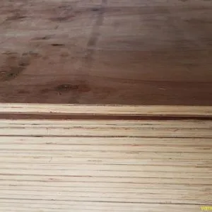 Sản phẩm slide 6 300x300 — Ván ép Tấn Vinh - Công Ty TNHH MTV TM MDF Tấn Vinh — MST 0315411839