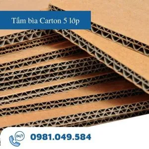 Sản phẩm tam bia carton 5 lop 300x300 — Công Ty TNHH TM DV Đỗ Vân — MST 0315414702