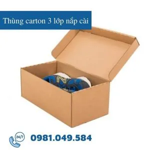 Sản phẩm thung carton 3 lop nap cai 300x300 — Công Ty TNHH TM DV Đỗ Vân — MST 0315414702