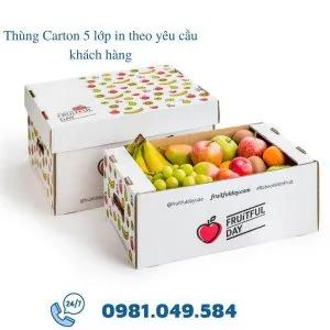 Sản phẩm thung carton 5 lop in theo yeu cau 300x300 — Công Ty TNHH TM DV Đỗ Vân — MST 0315414702