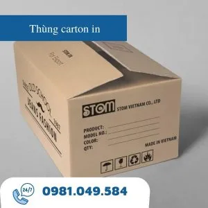 Sản phẩm thung carton in theo yeu cau 300x300 — Công Ty TNHH TM DV Đỗ Vân — MST 0315414702
