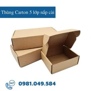 Sản phẩm thung lam carton 5 lop nap cai 1 300x300 — Công Ty TNHH TM DV Đỗ Vân — MST 0315414702