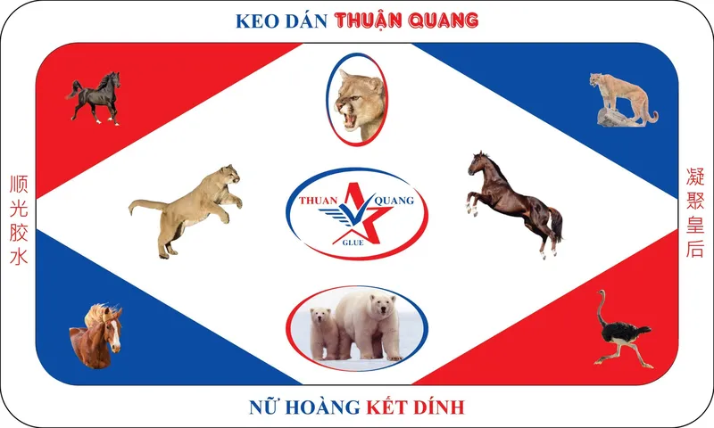 Sản phẩm z5411084423444_b02d013f77ec5c60eebbfbca0458a5ff — Keo 502 Thuận Quang - Công Ty TNHH Keo Dán Thuận Quang — MST 0315417319