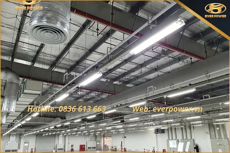 Sản phẩm bs1 (5) — Công Ty TNHH Ever Power — MST 0315420047