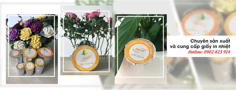 Sản phẩm b2 — Công Ty TNHH TOGO — MST 0315422326