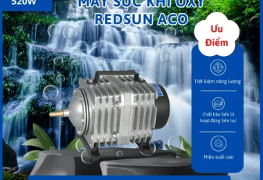 Sản phẩm 26 1767432654 1776852863 — Công Ty TNHH Thương Mại Dịch Vụ Cảng Hào — MST 0315437996