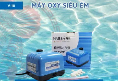 Sản phẩm 40 1767337911 1 1777389846 — Công Ty TNHH Thương Mại Dịch Vụ Cảng Hào — MST 0315437996