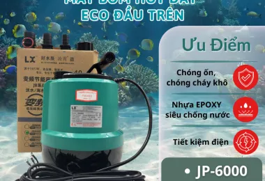 Sản phẩm 53 1772817032 — Công Ty TNHH Thương Mại Dịch Vụ Cảng Hào — MST 0315437996