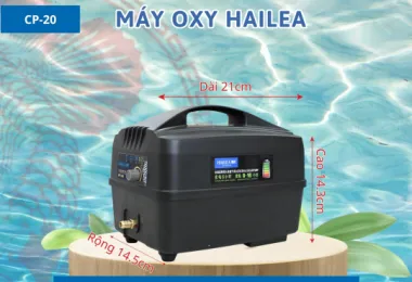 Sản phẩm 63 1767422252 1777102510 — Công Ty TNHH Thương Mại Dịch Vụ Cảng Hào — MST 0315437996
