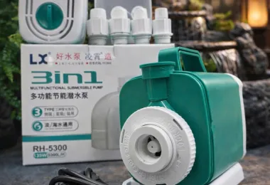 Sản phẩm 64556122014550774566286066837469991857292084n 1772781351 — Công Ty TNHH Thương Mại Dịch Vụ Cảng Hào — MST 0315437996