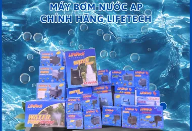 Sản phẩm san pham website cang hao lifetech 1777101322 — Công Ty TNHH Thương Mại Dịch Vụ Cảng Hào — MST 0315437996
